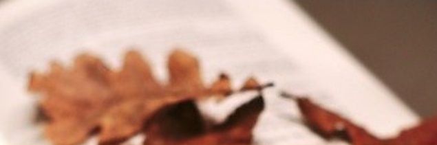 ResearchBookClb's profile banner image