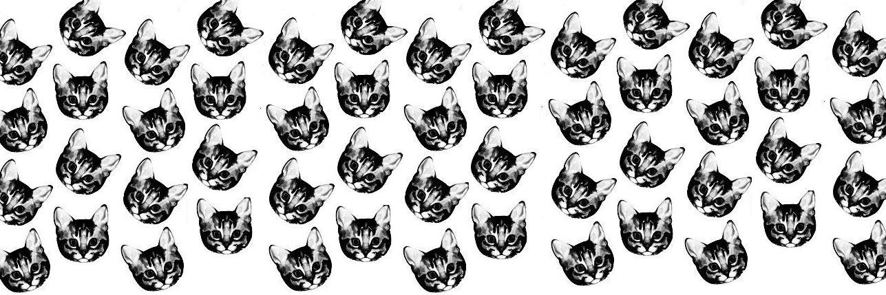 bieberwreckit's profile banner image