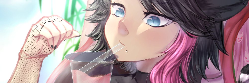 ProbsKarma (EnVT) banner