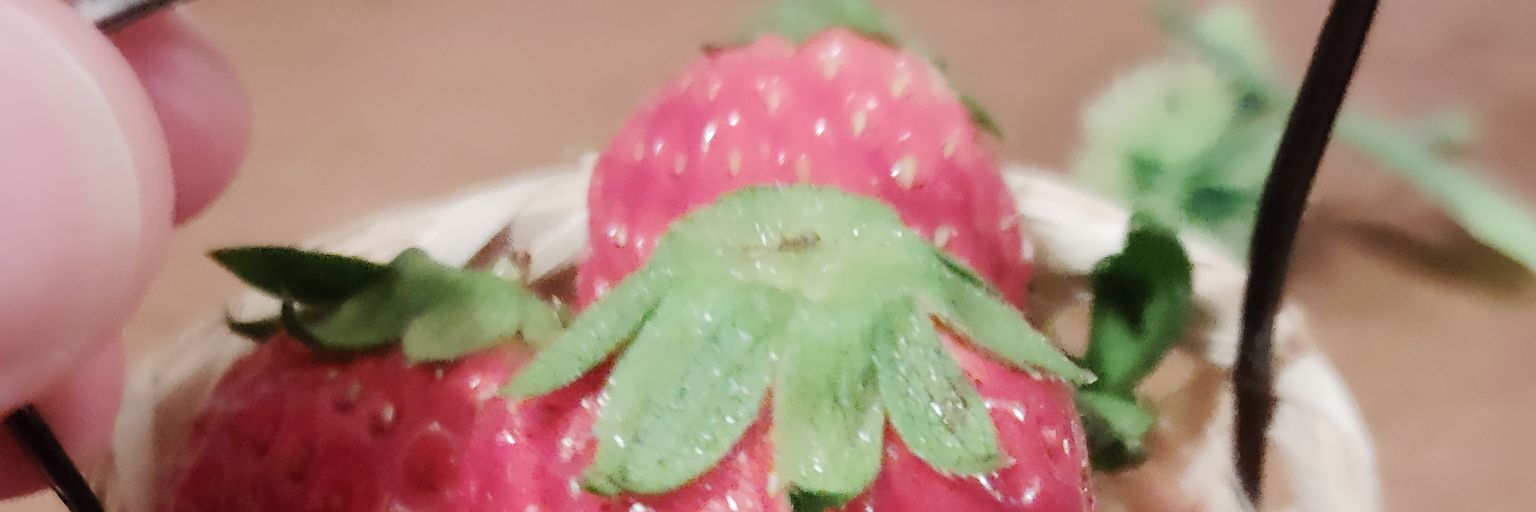 柚津本 banner