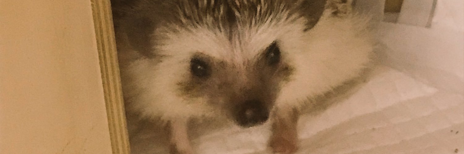 ATminami's profile banner image