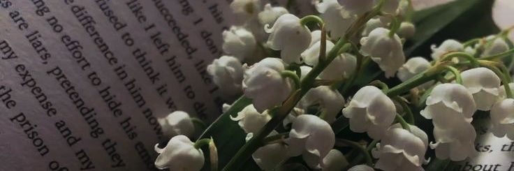 btglxy's profile banner image