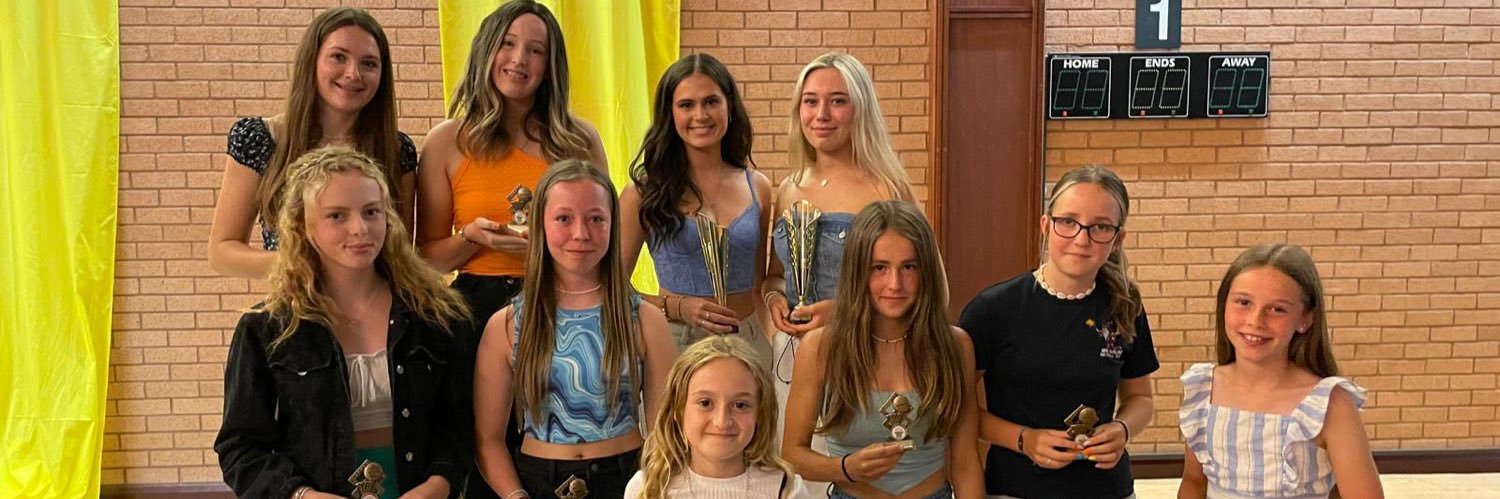 Merlins Netball Club banner