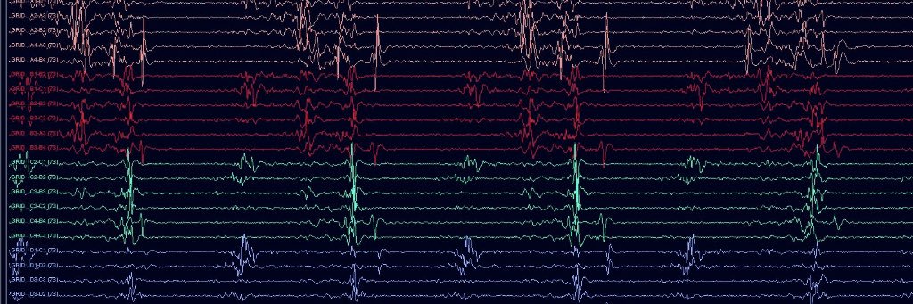 Marissa Martinez banner