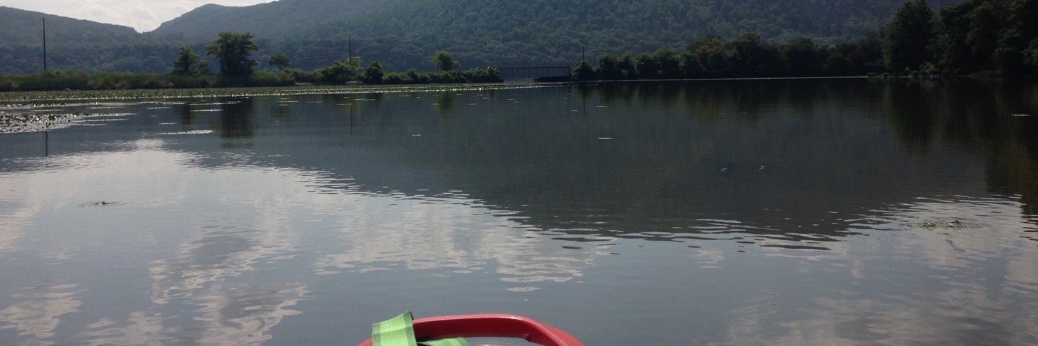 Phil Fox Rose banner