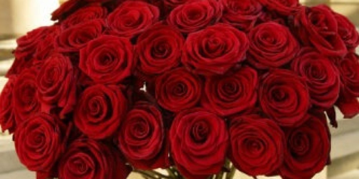 shyou5ya's profile banner image