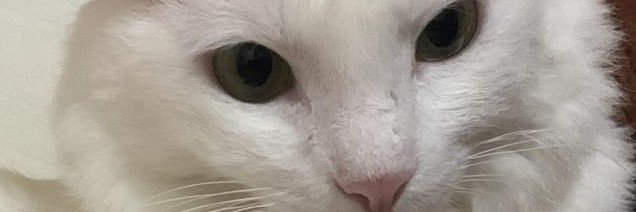 xreyuriii's profile banner image