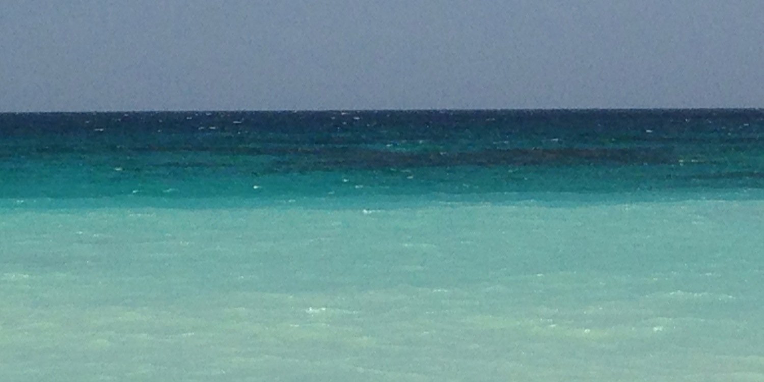 Sally Morgan banner