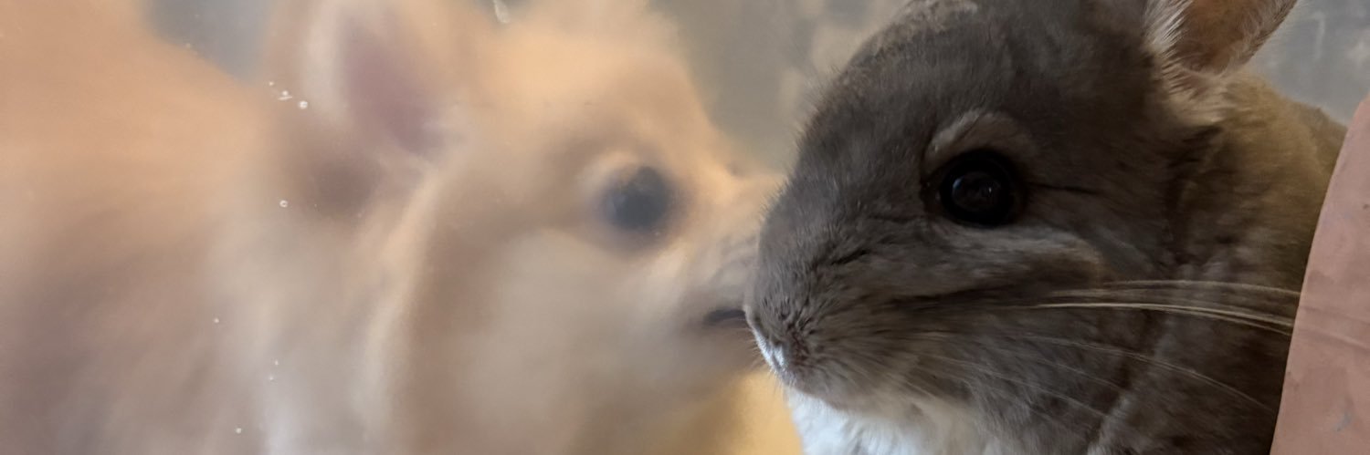 Pina_XYZ's profile banner image