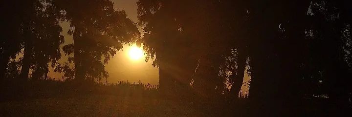 Lunyballesteros's profile banner image