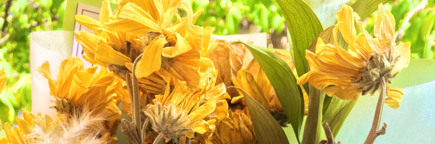 anggiadesty's profile banner image