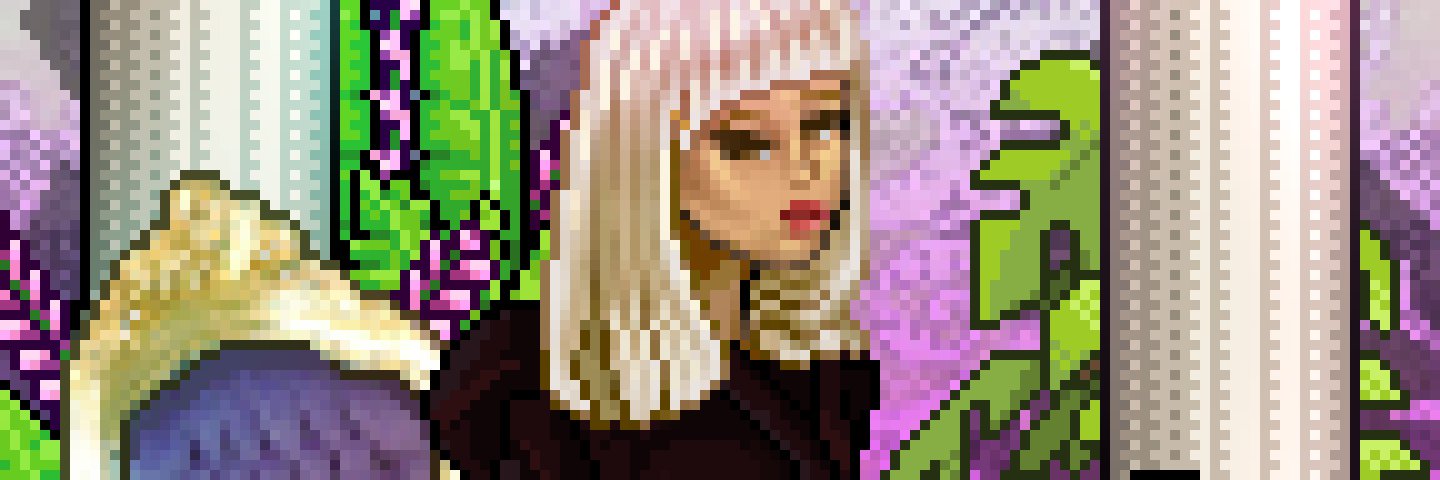 Heidi Finition banner