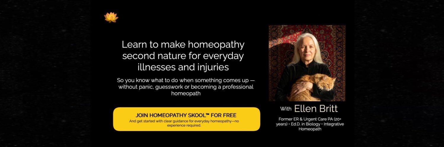 Ellen Britt PA Ed.D., PHom banner