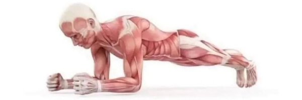 Ham_Bagel Profile Banner