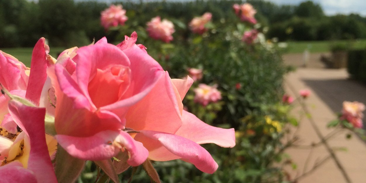 BeadlowGolfClub's profile banner image