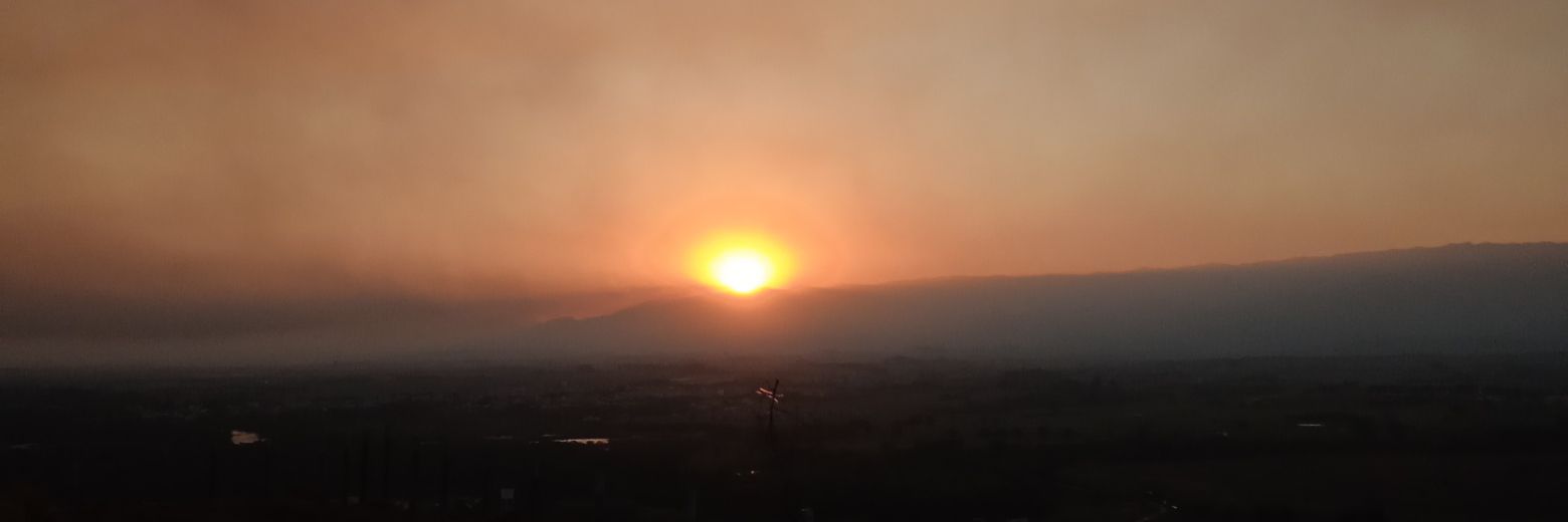 Alberto Rodrigues banner