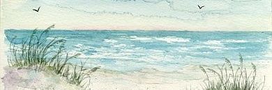 Vera8Naz's profile banner image
