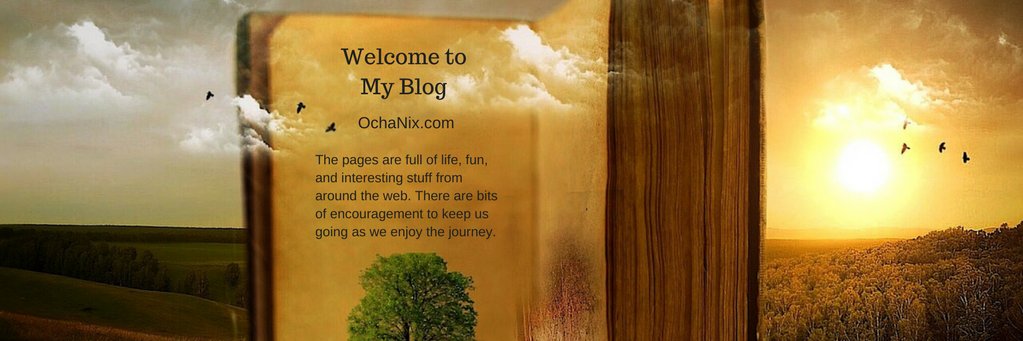 OchaNix's profile banner image
