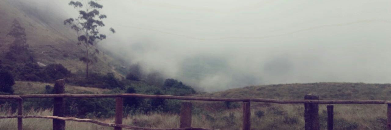 etifarooqui's profile banner image