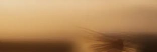 JasonCh61300165's profile banner image