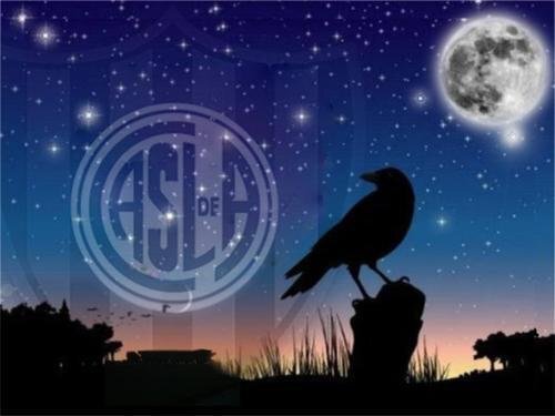 YOSOYCUERVOWEB's profile banner image