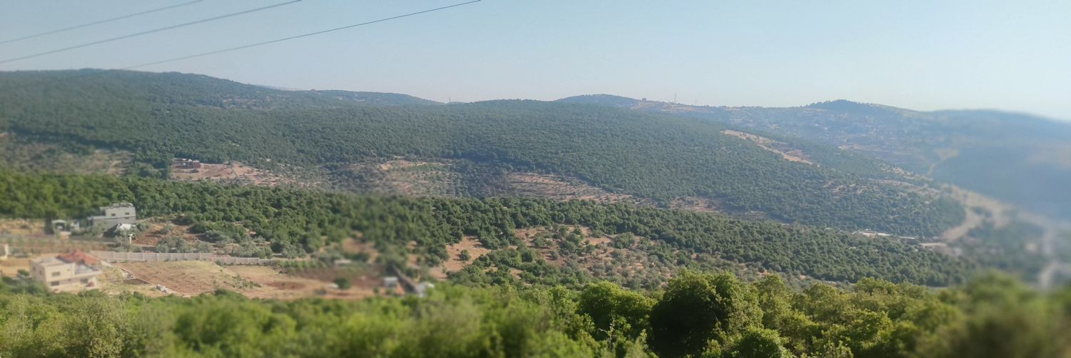 aliaaq9's profile banner image