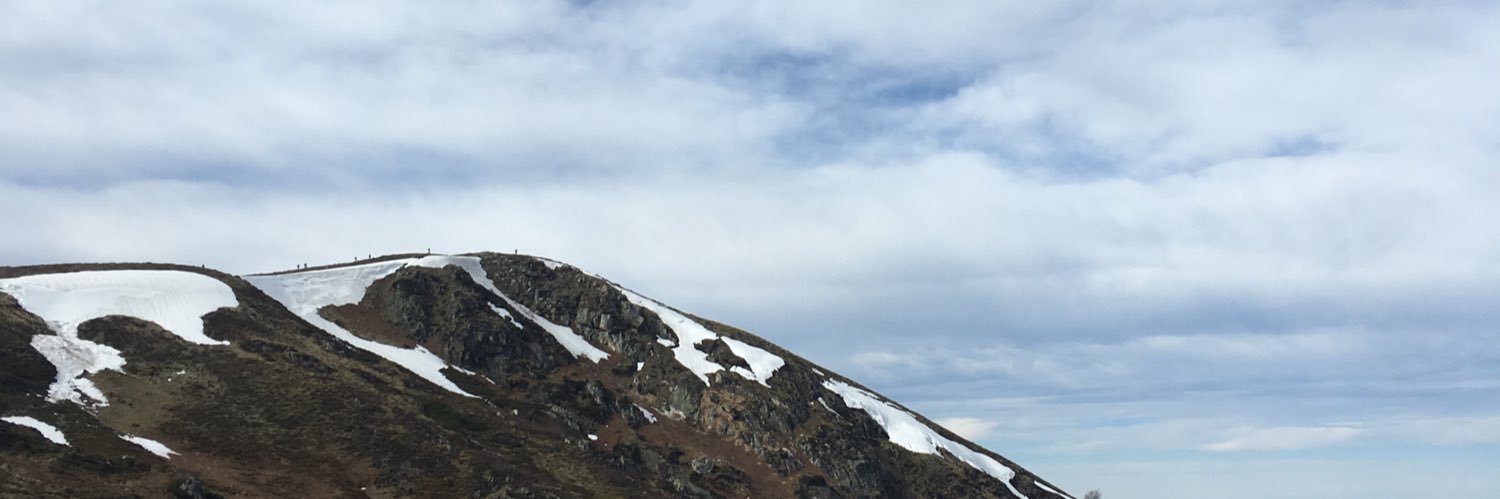 Katharina Schobersberger banner