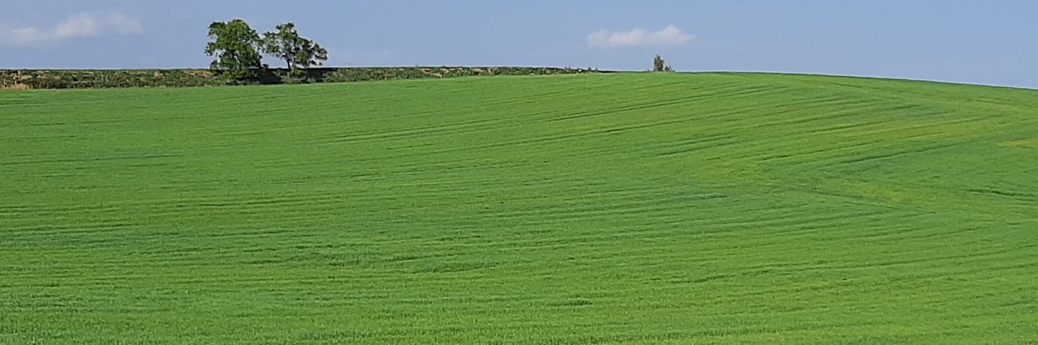 Guillermo Almansa banner