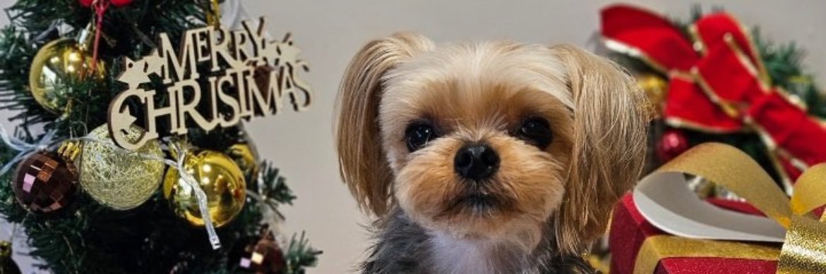 pakupakuondode's profile banner image