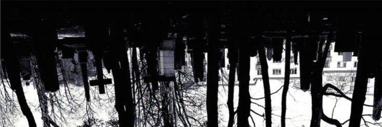 fiangxa xiang fuu banner