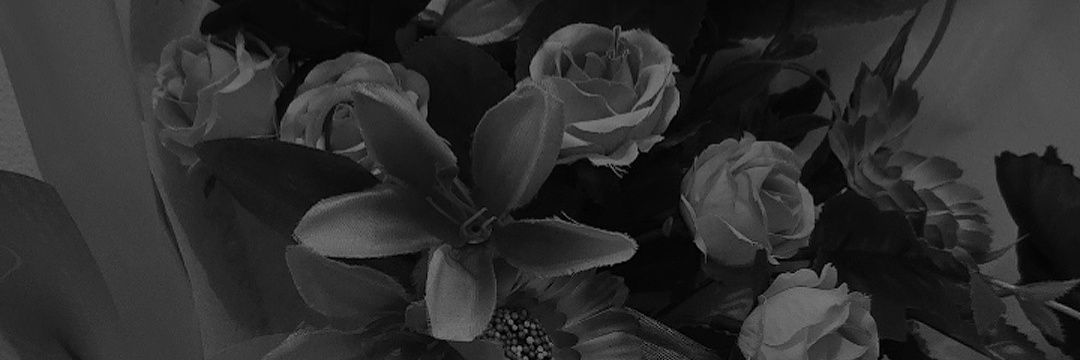 anaFTMH's profile banner image