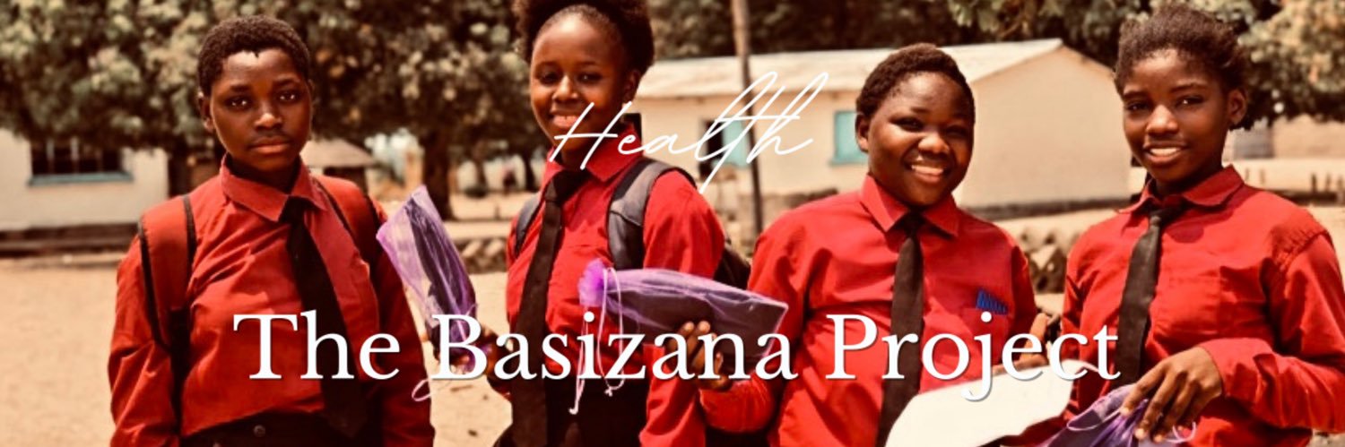 The Basizana Project banner