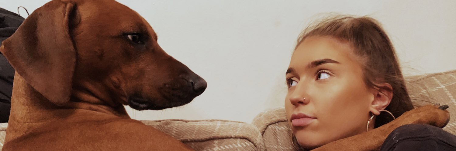LiviVarley's profile banner image