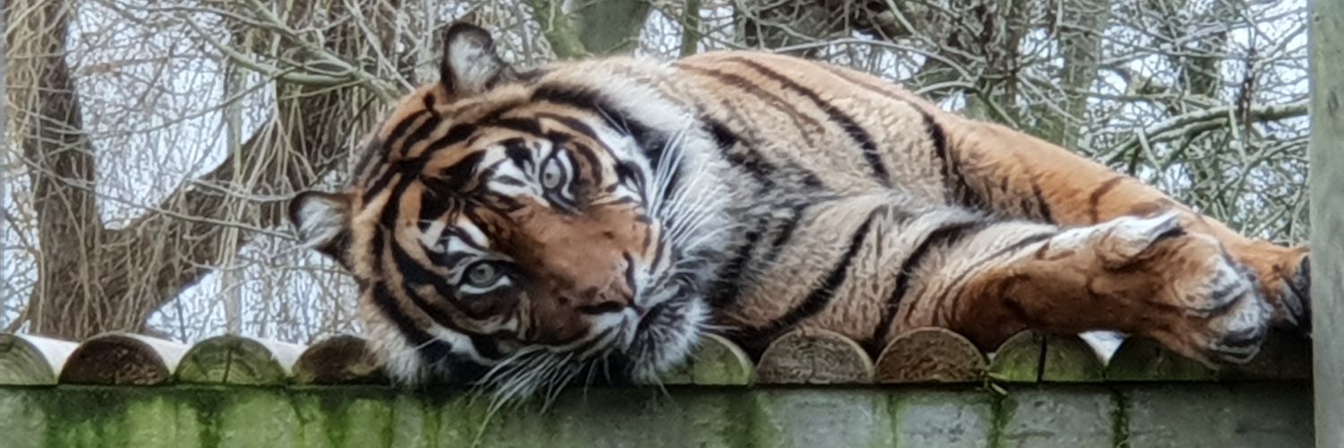 Michelle Francis banner