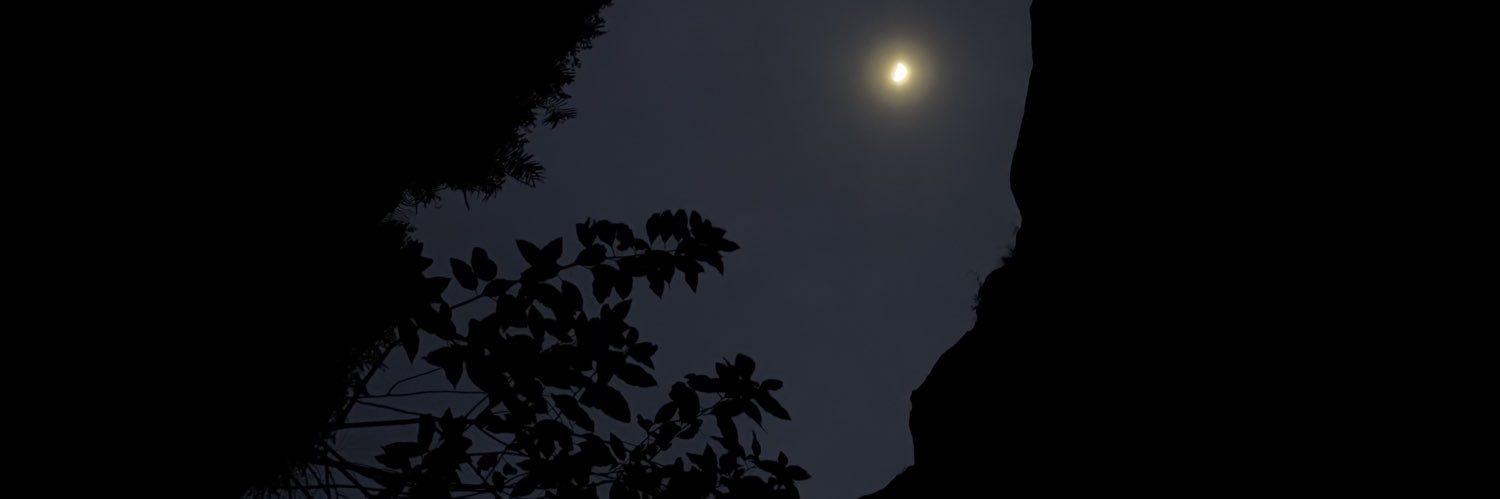 d7mmii1's profile banner image