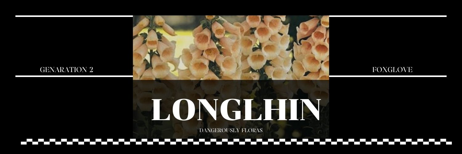 ฟ.หลงหลิน banner