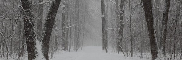 nokon_11 Profile Banner