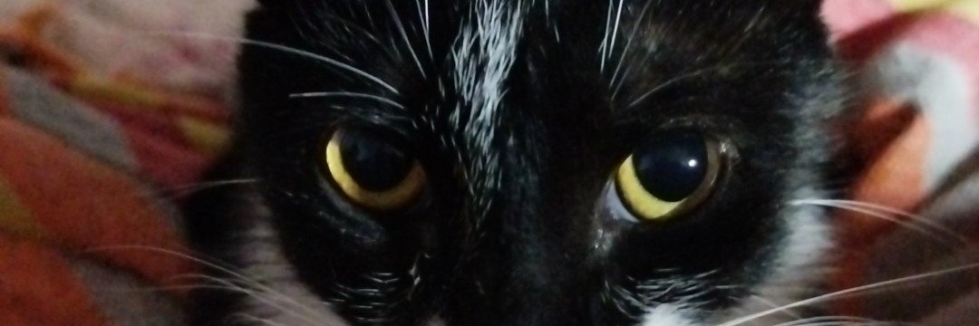 Oriivln's profile banner image
