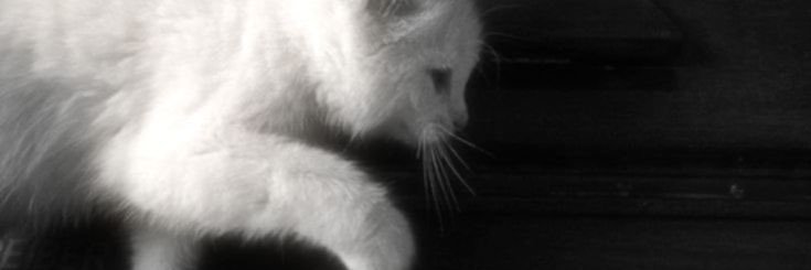 accusrate's profile banner image