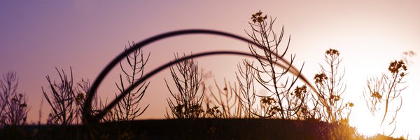 stanlyranch Profile Banner