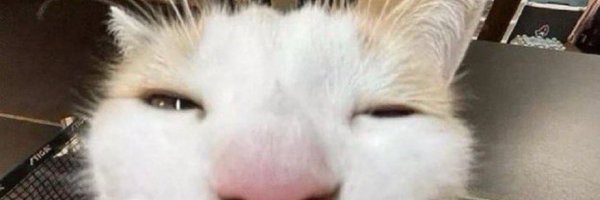 YesArtz7777 Profile Banner