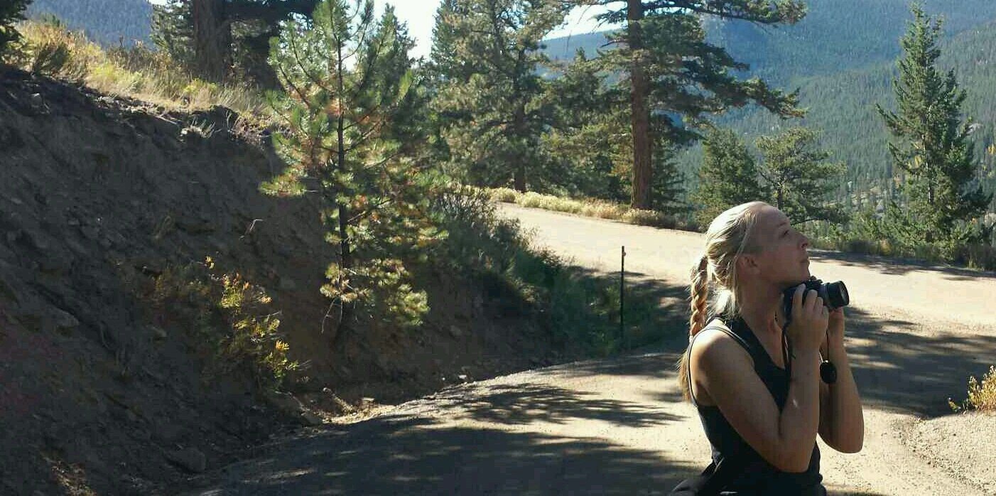 lillybot1's profile banner image