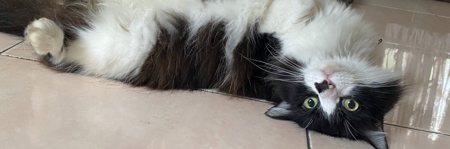 keira banner