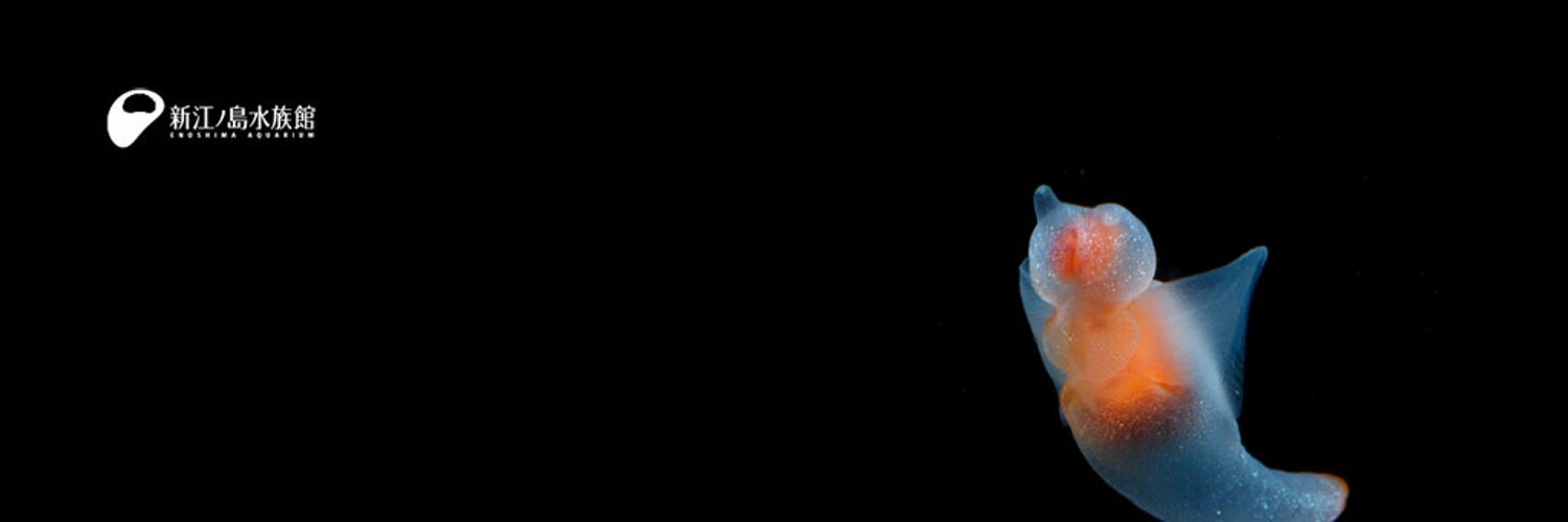 kazuralia's profile banner image