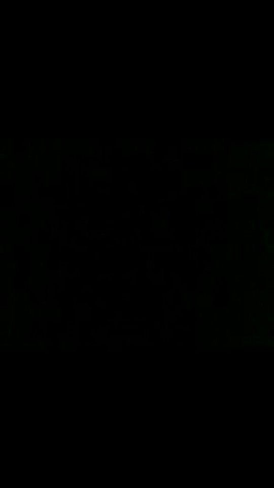 izzy. banner