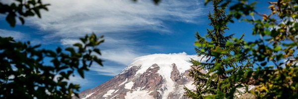 UW_NBIO Profile Banner