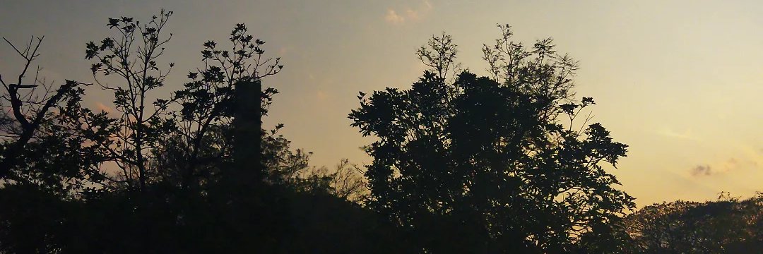 renanX banner