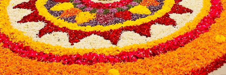 B(l)ack BoY✌🏾✌🏾 banner