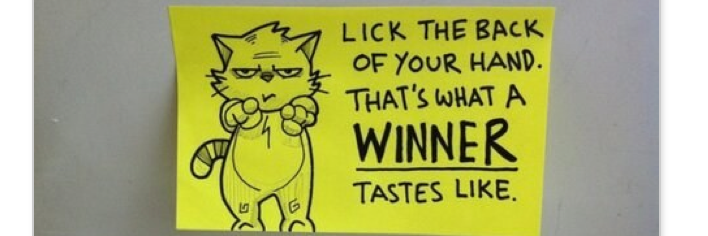 MandyKerr 🐾 banner