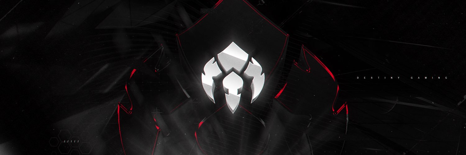 Destiny Gaming™️ banner